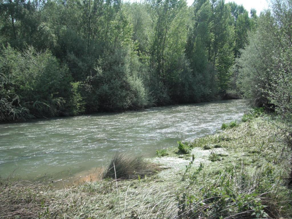 Hotel El Jardin De La Huerta Sahagún Zewnętrze zdjęcie