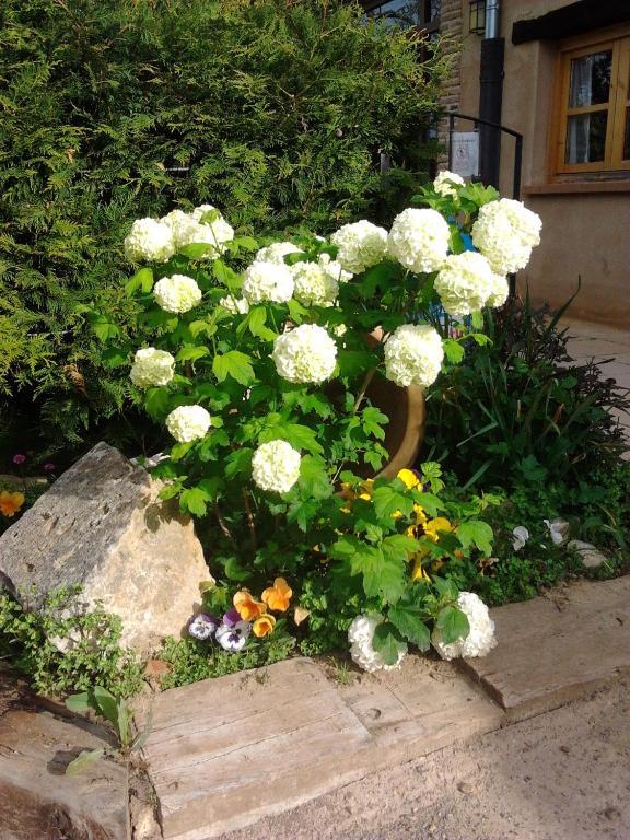 Hotel El Jardin De La Huerta Sahagún Zewnętrze zdjęcie